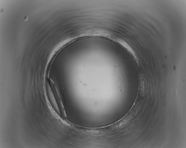 X0000083661088200703051746