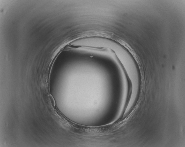 X0000083661089200703051745