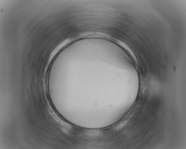 X0000083661090200703051745