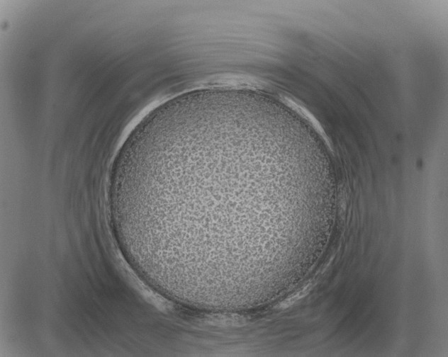 X0000083661091200703051745