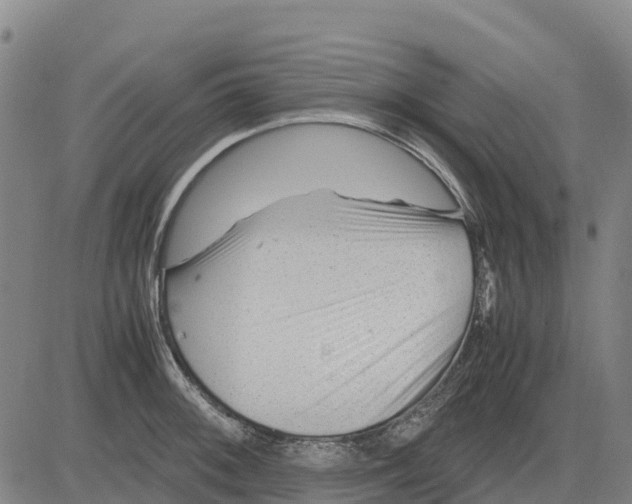 X0000083661092200703051745