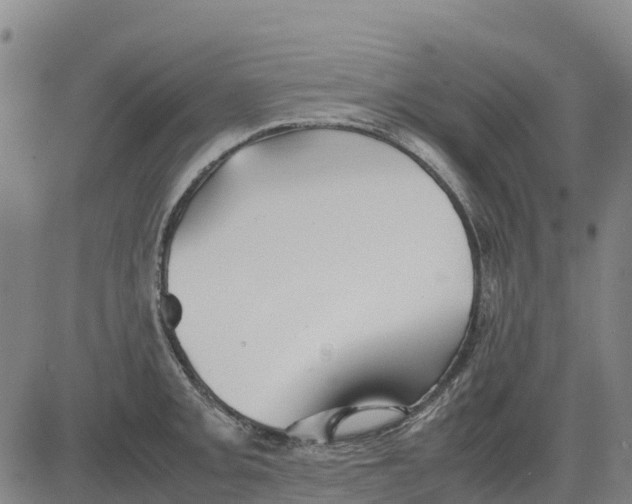 X0000083661093200703051745