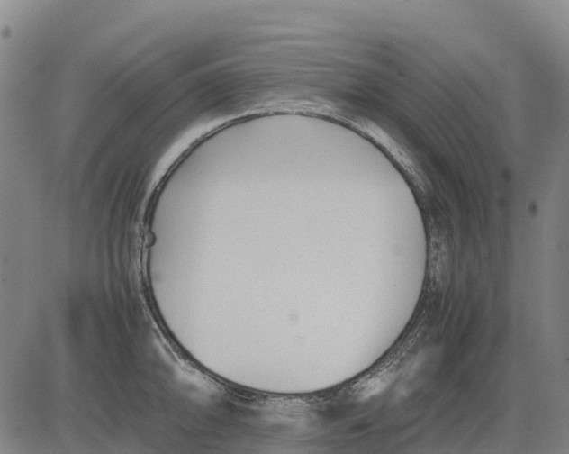 X0000083661094200703051745