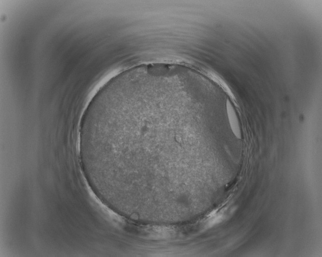 X0000083661095200703051745