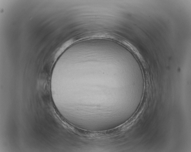 X0000083661097200703051745