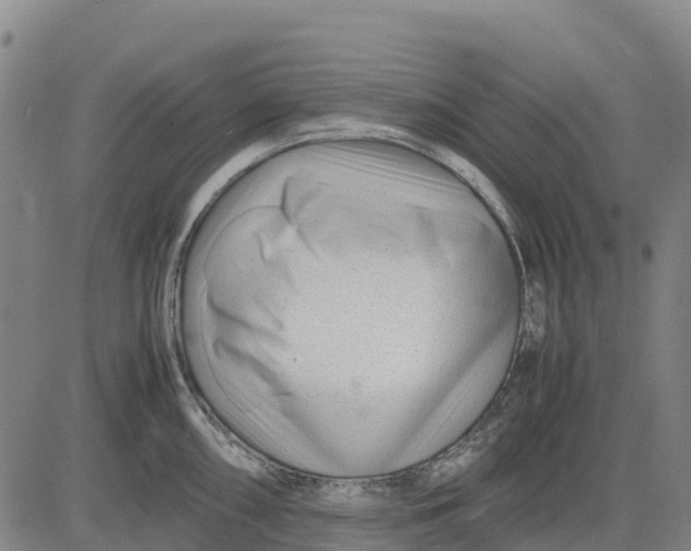 X0000083661098200703051745