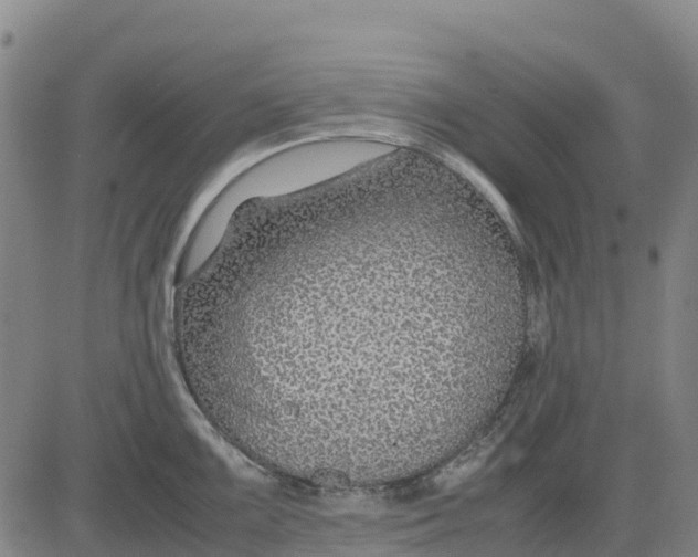 X0000083661099200703051745