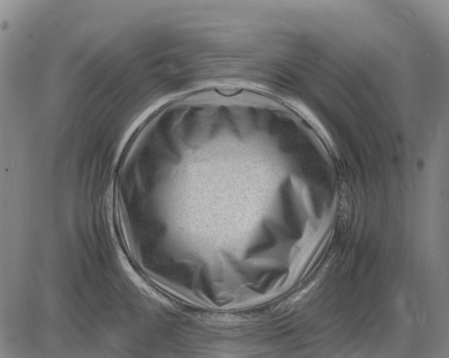 X0000083661100200703051745