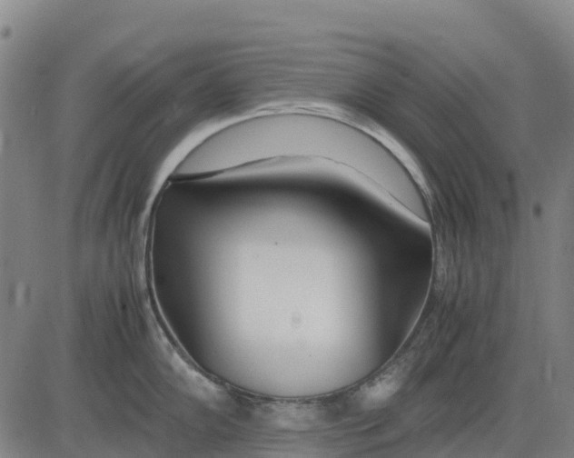 X0000083661102200703051745