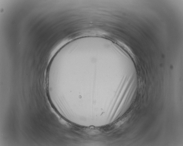 X0000083661103200703051745