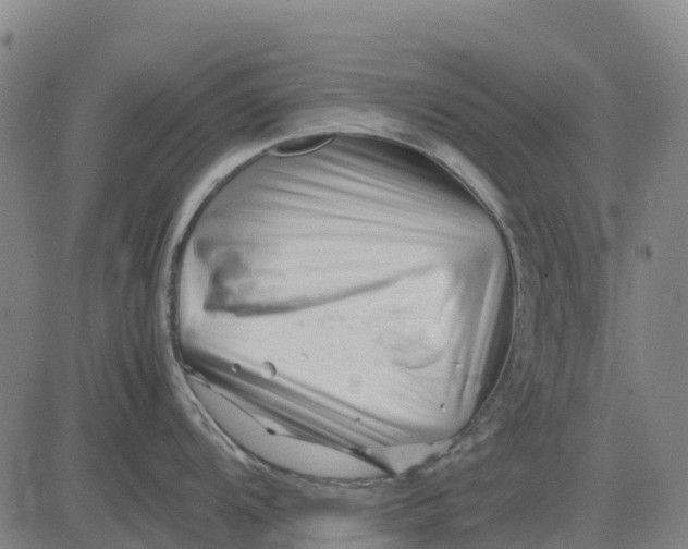 X0000083661104200703051745