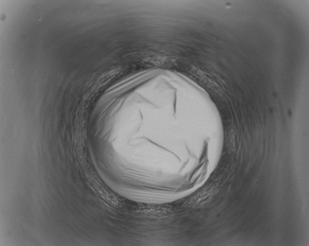 X0000083661105200703051744