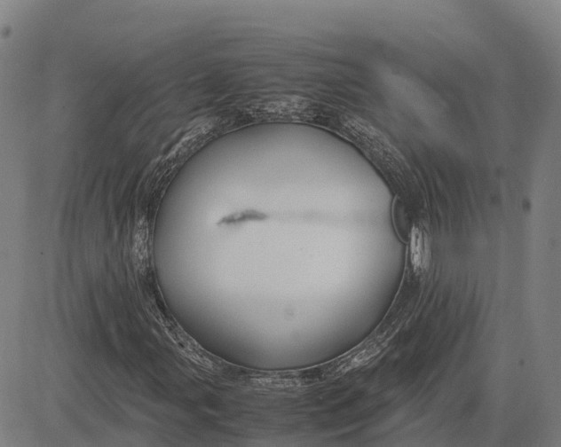 X0000083661107200703051744