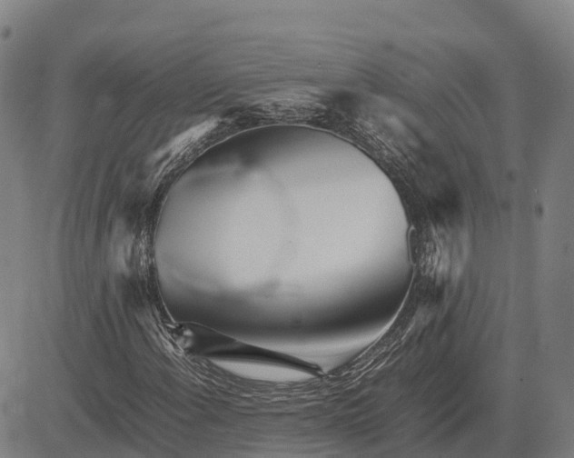 X0000083661108200703051744