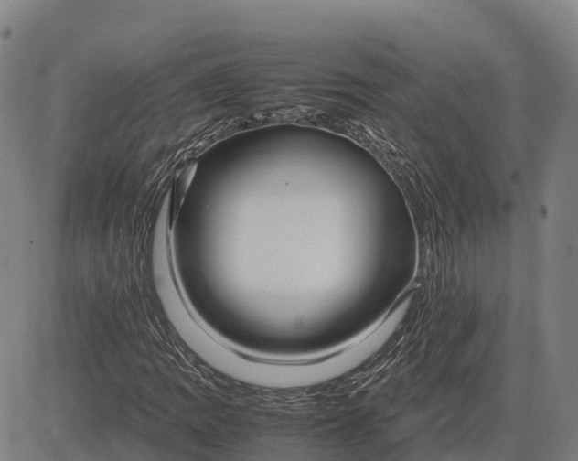 X0000083661109200703051745