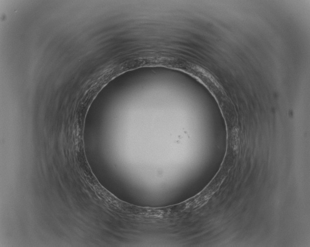 X0000083661111200703051745