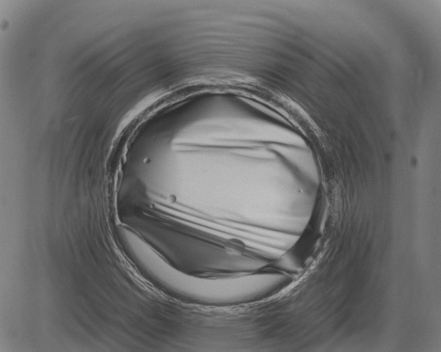 X0000083661114200703051745