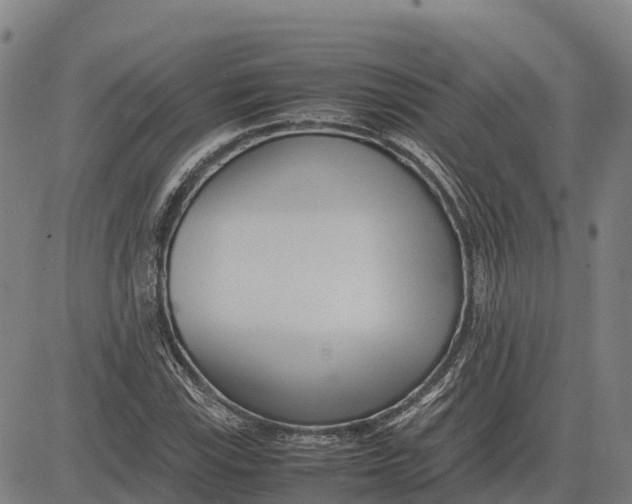 X0000083661115200703051745