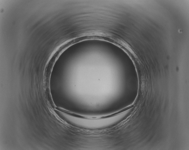 X0000083661116200703051745