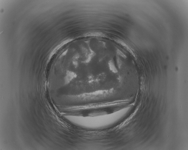 X0000083661117200703051745