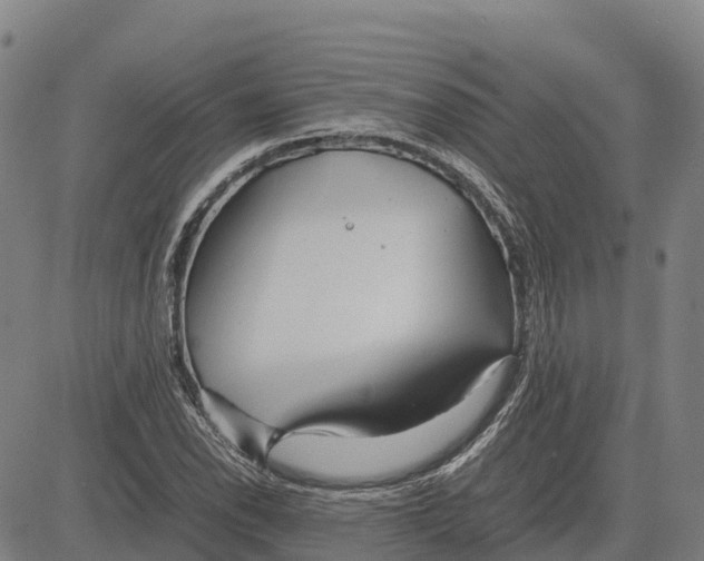 X0000083661118200703051745