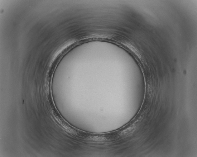 X0000083661119200703051745