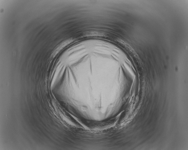 X0000083661121200703051745