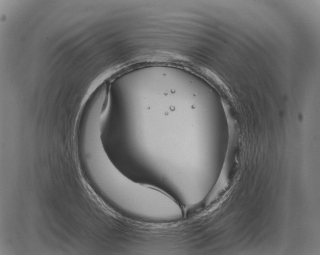 X0000083661122200703051745