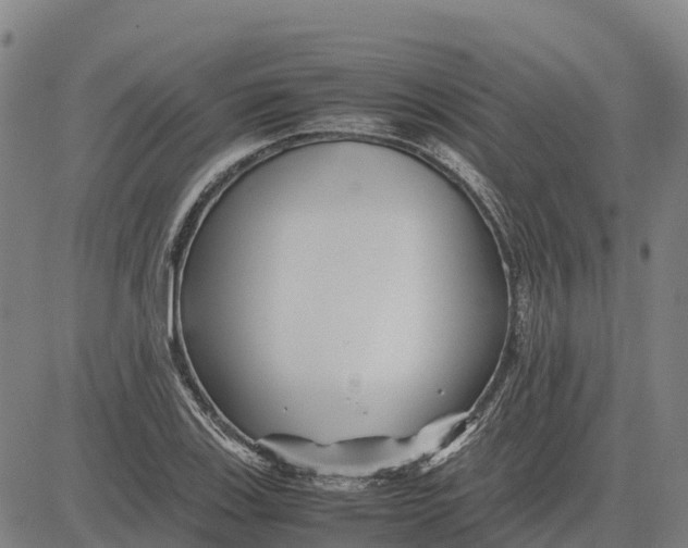 X0000083661123200703051745