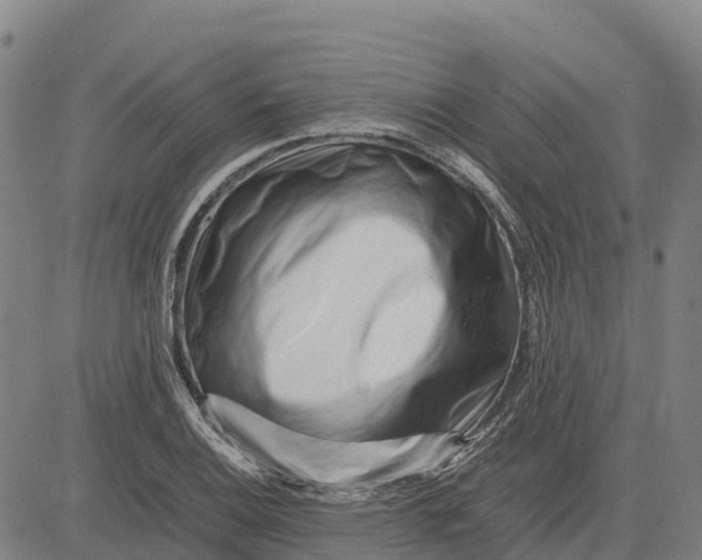 X0000083661124200703051745