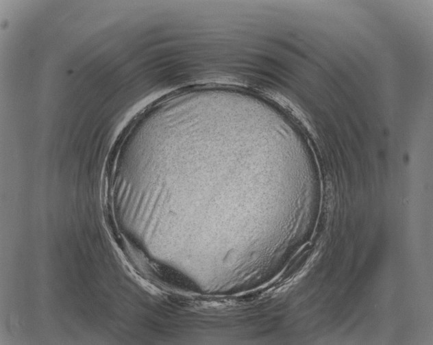 X0000083661125200703051745