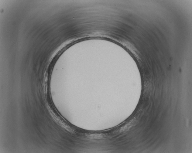 X0000083661126200703051745