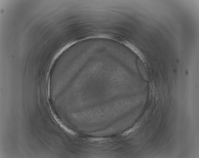 X0000083661127200703051745