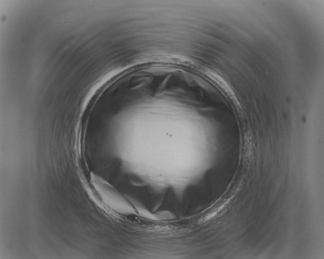 X0000083661128200703051745