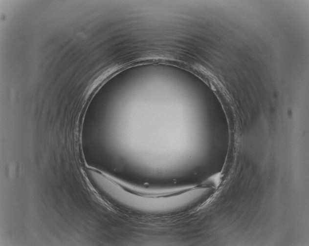 X0000083661129200703051745