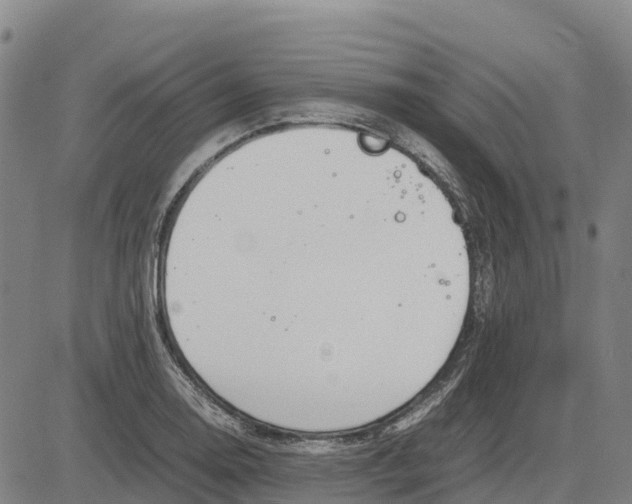 X0000083661130200703051745