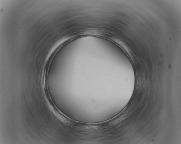 X0000083661131200703051745