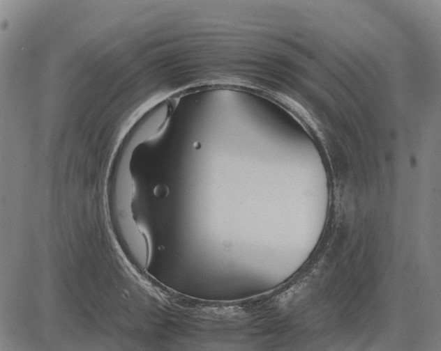 X0000083661133200703051745