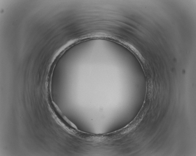 X0000083661134200703051745