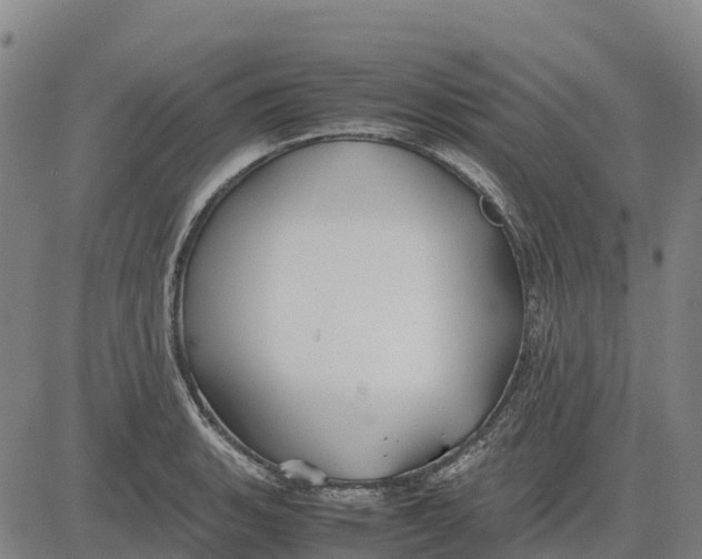 X0000083661135200703051745