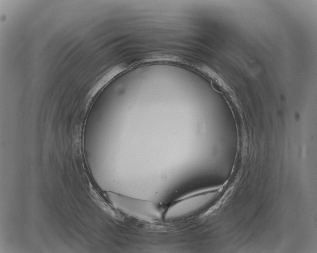 X0000083661137200703051745