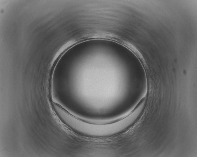 X0000083661138200703051745