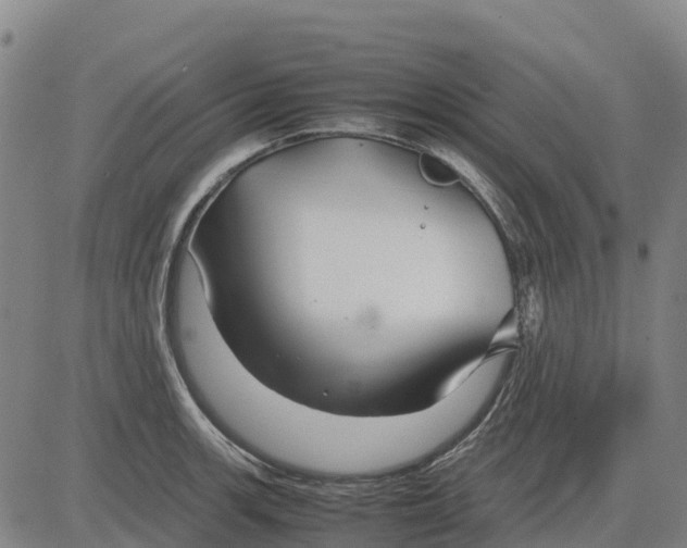 X0000083661139200703051745