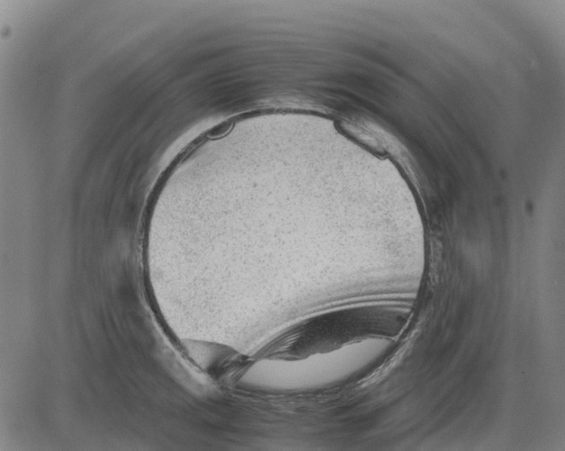 X0000083661141200703051745