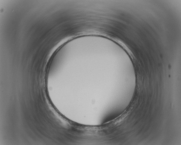 X0000083661142200703051745