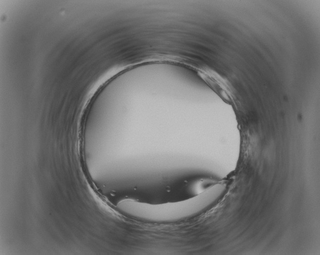 X0000083661143200703051745