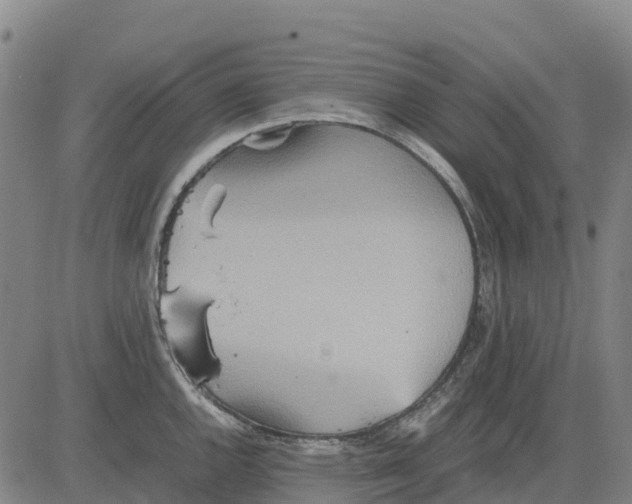 X0000083661144200703051745