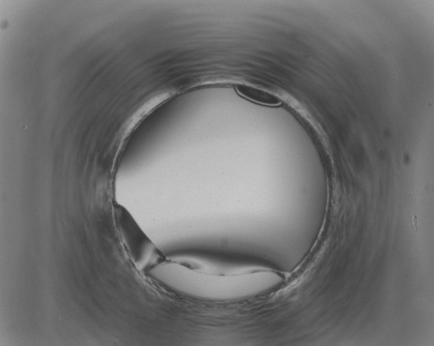 X0000083661145200703051745