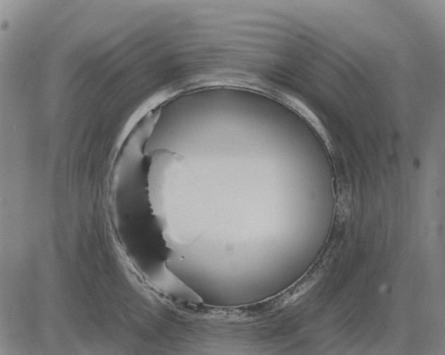 X0000083661146200703051745