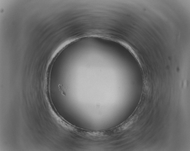 X0000083661147200703051745